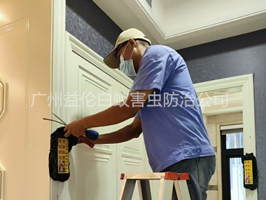 花都住宅白蟻防治工程